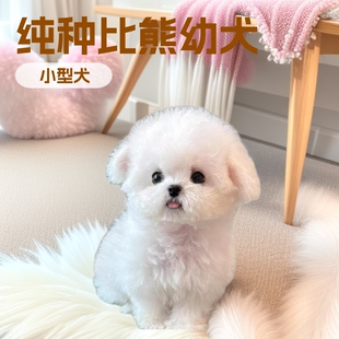 ���N������Ȯ���w�����pѪ�y����С��Ȯ���pȮ�豭Ȯ���ﹷ������