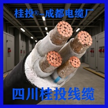 Ͷ®ɶͻWDZBN-YJY1KV͉~о|3+24+1о늾ȼ