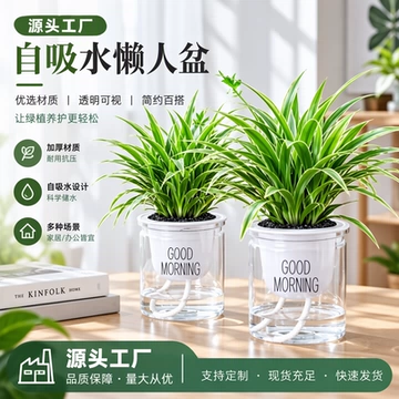 金边吊兰盆栽花卉植物室内盆景阳台净化空气某醛小绿植水培垂吊