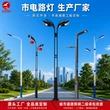 定制双臂高低道路路灯