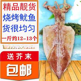 2N北海特产道淡晒海鲜特产大鱿鱼须头条干干货烧烤常用手撕半斤